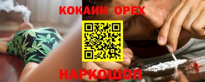 крисы Пенза