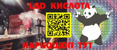 крисы Пенза