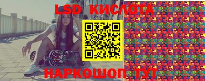 крисы Пенза