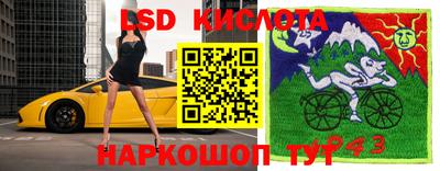 крисы Пенза
