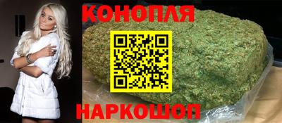 крисы Пенза