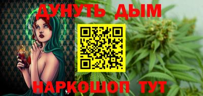 крисы Пенза