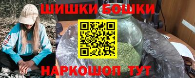 крисы Пенза