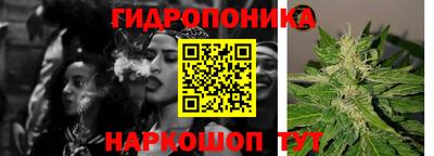 крисы Пенза