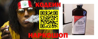 крисы Пенза