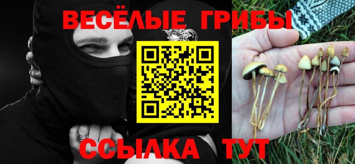 Галлюциногенные грибы ЛСД Сатка